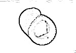 Neritopsidae 真珠蜑螺科